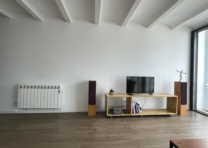 Loft En El Centro